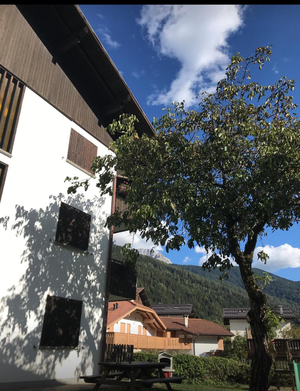 Care Alto Apartman Carisolo Kültér fotó
