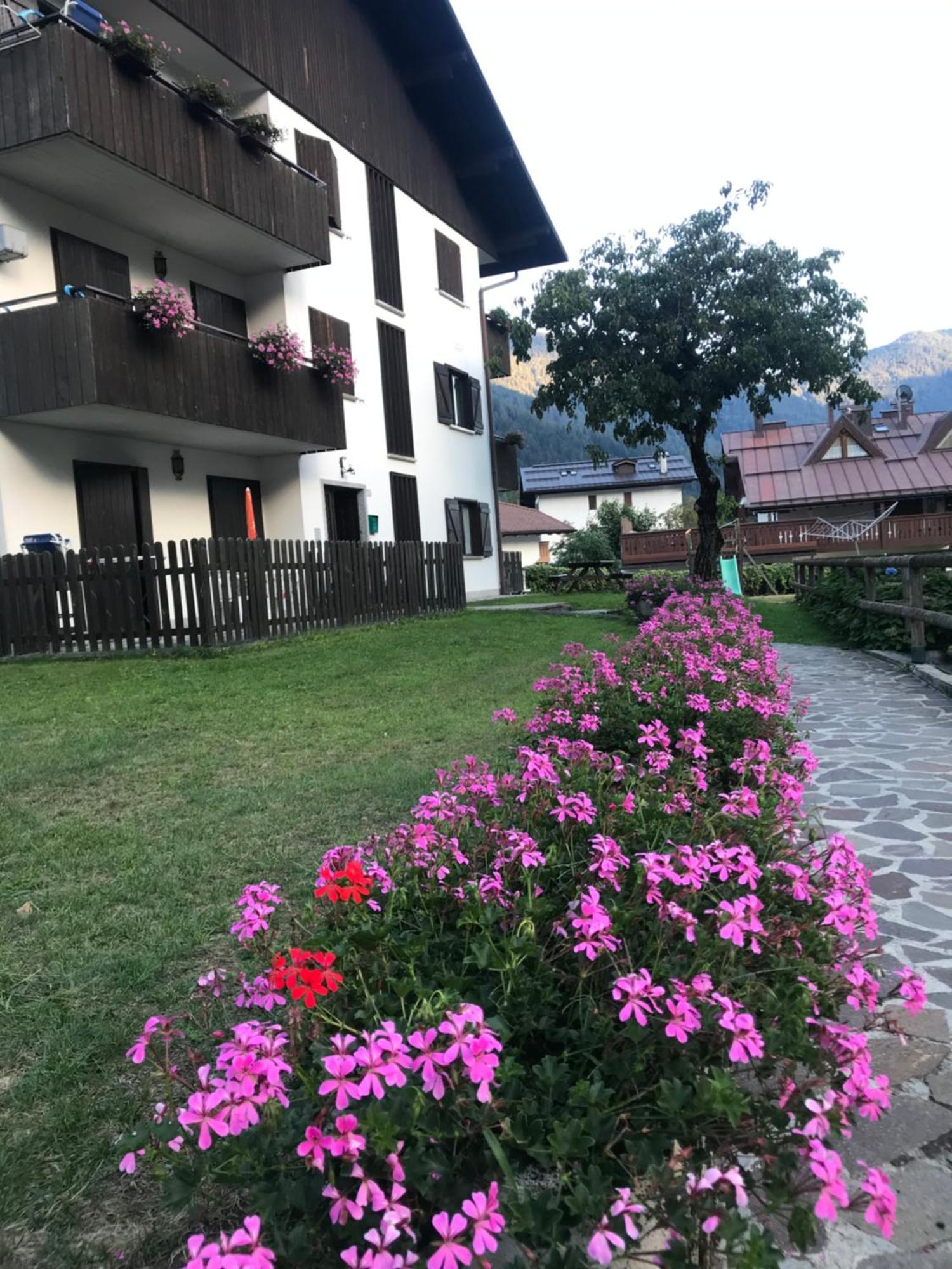 Care Alto Apartman Carisolo Kültér fotó