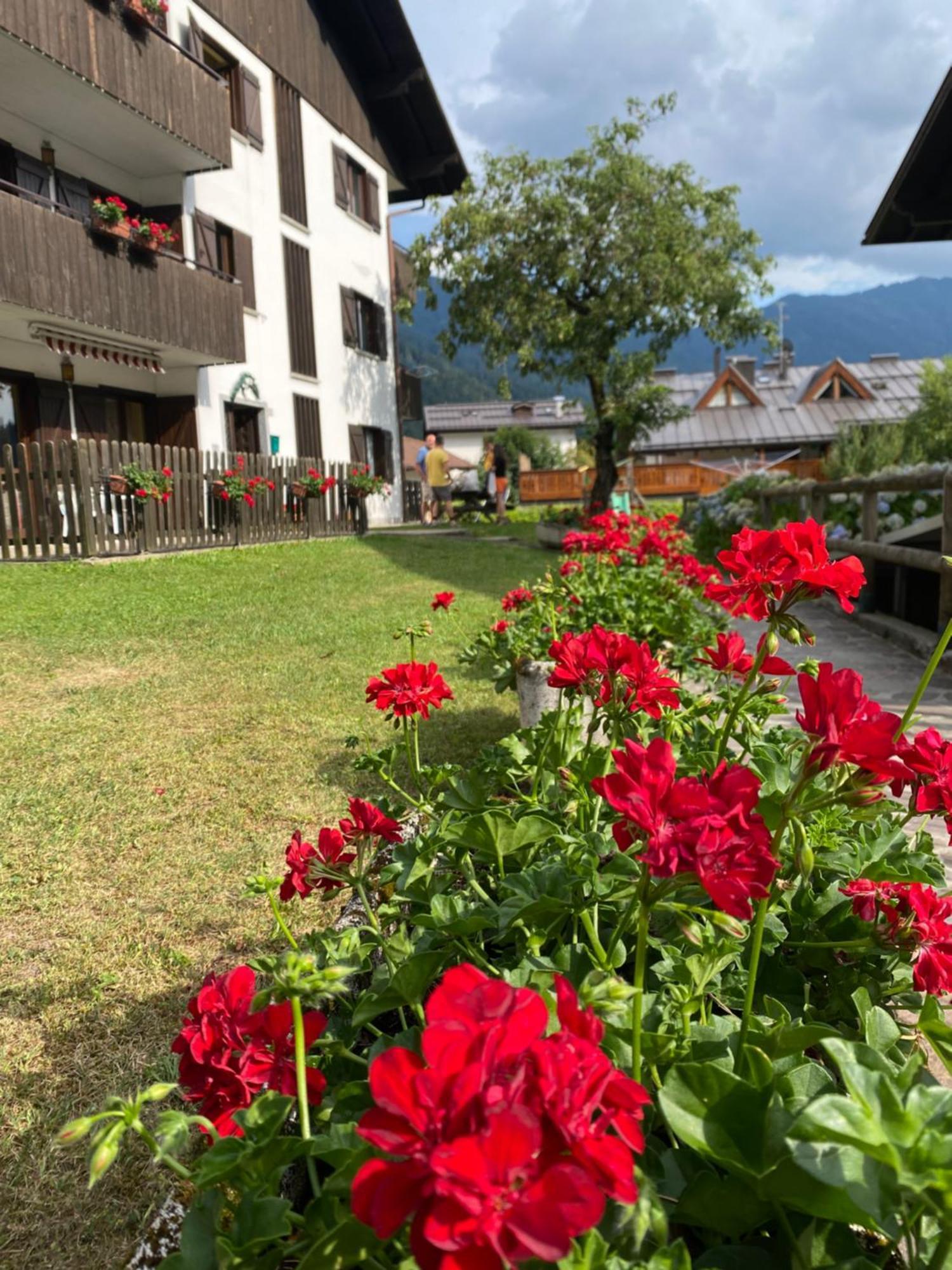 Care Alto Apartman Carisolo Kültér fotó
